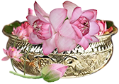 category_box_1