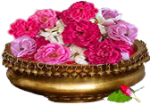 category_box_10