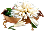 category_box_9